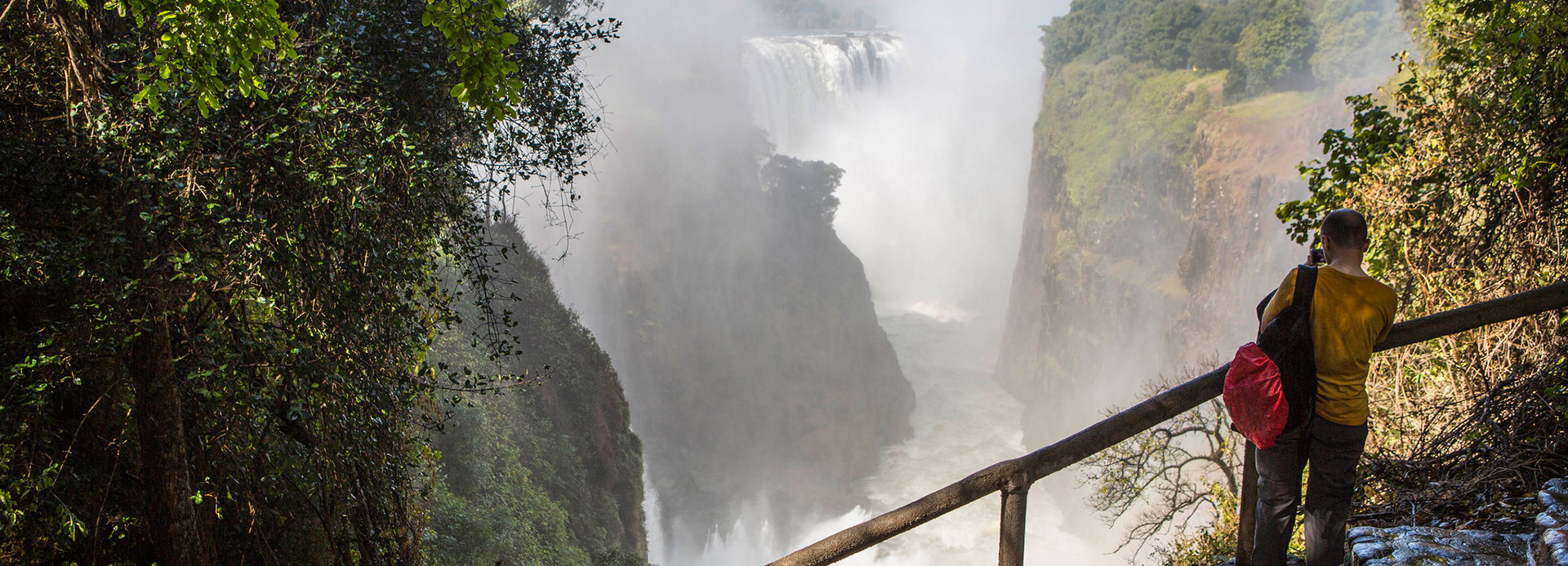 Safari Gates